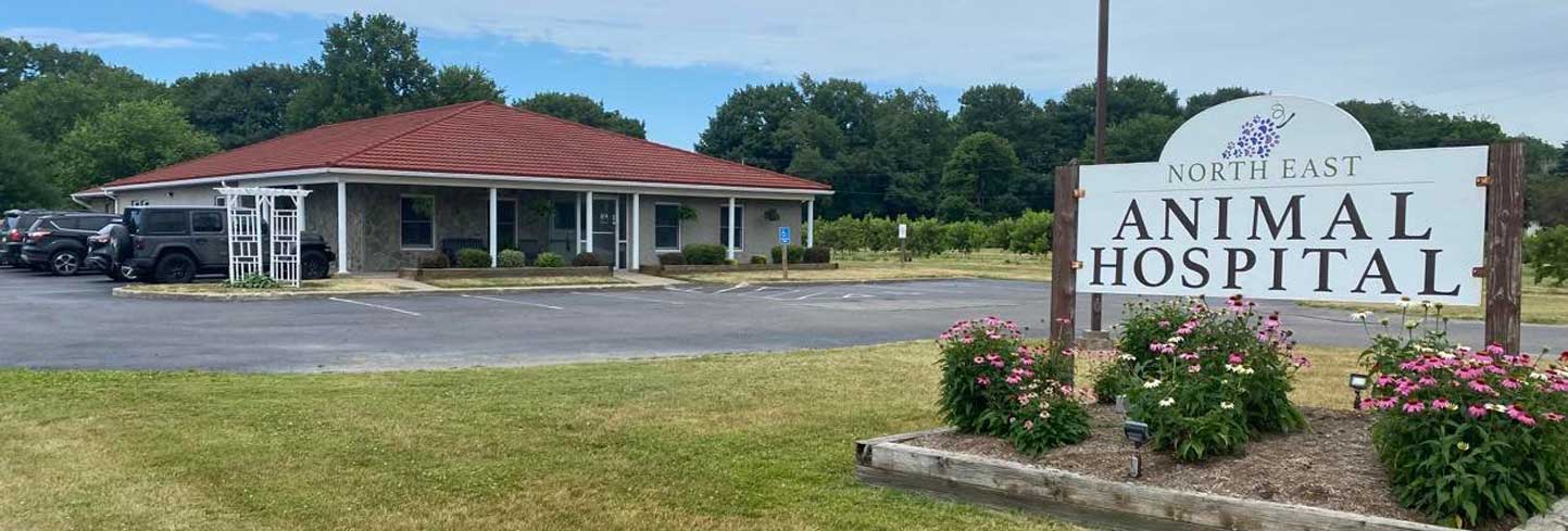 Eastern store veterinary clinic